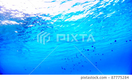 Nishihama Beach underwater photograph of Okinawa Akajima 87775284
