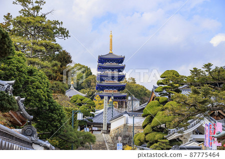 Nakayamadera and plum garden in full bloom Nakayamadera and plum garden in full bloom 87775464