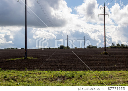 Harvested field by forest under cloudy sky 87775655