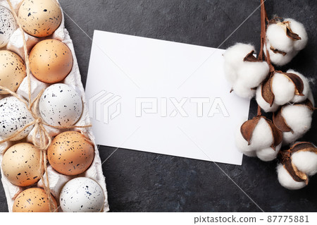 Easter eggs and cotton blossom 87775881