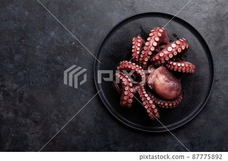 Tasty octopus on black background 87775892