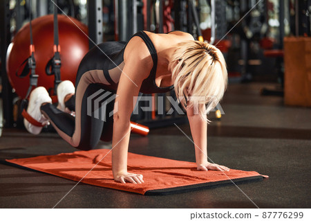 Women doing push ups training arms with trx fitness straps in the gym Concept workout healthy lifestyle sport Women doing push ups training arms with trx fitness straps in the gym Concept workout healthy lifestyle sport 87776299