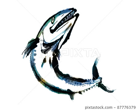 鯖魚、鯖魚、春魚、成功魚 87776379