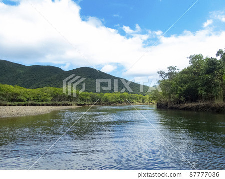 Kuroshio no Mori Mangrove Park 87777086