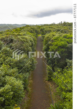 奄美大島北部的鴨毛崎觀光公園 87777111