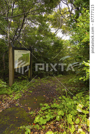 奄美大島北部的鴨毛崎觀光公園 87777115