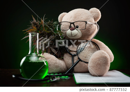 cannabis plant for medical purposes and research , creative composition with a teddy bear cannabis plant for medical purposes and research , creative composition with a teddy bear 87777332