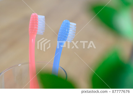 Two toothbrushes, a new life couple, a couple Two toothbrushes, a new life couple, a couple 87777676