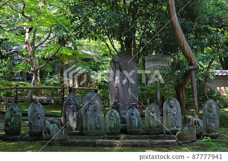 Jizo Jizo 87777941