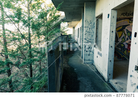 [Kasama City, Ibaraki Prefecture] Black Mansion Ruins 87778071