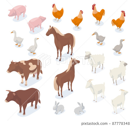 Isometric farm animals, 3d pig, cow, chicken, goat and horse. Agricultural farm animals and birds, dog and ship vector illustration set. Farm domestic animals Isometric farm animals, 3d pig, cow, chicken, goat and horse. Agricultural farm animals and birds, dog and ship vector illustration set. Farm domestic animals 87778348
