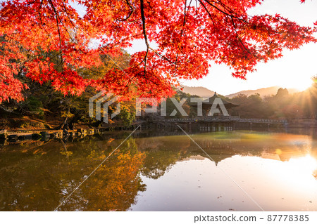 《Nara Prefecture》 Autumn leaves and Ukimido / Autumn Nara Park 87778385