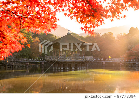 《奈良縣》秋葉浮見堂 / 秋天的奈良公園 87778394