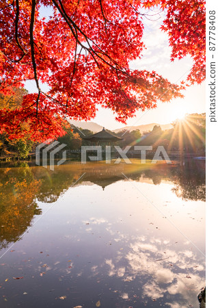 《奈良縣》秋葉浮見堂 / 秋天的奈良公園 87778408