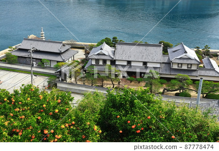 [Hiroshima Prefecture] Kamagarijima Gobansho Ruins Matsuboen (Tobishima Kaido) 87778474