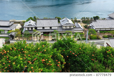 [Hiroshima Prefecture] Kamagarijima Gobansho Ruins Matsuboen (Tobishima Kaido) 87778479