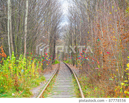 烏克蘭冬季愛情隧道 87778556