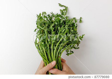 斯里 87779080