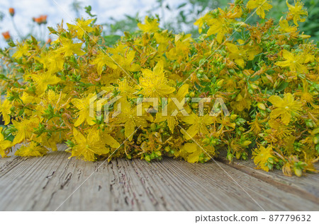 Hypericum perforatum on a wooden table Hypericum perforatum on a wooden table 87779632
