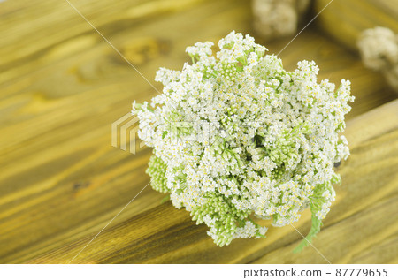 White Yarrow flower. Achillea millefolium with white flowers on a wooden table 87779655