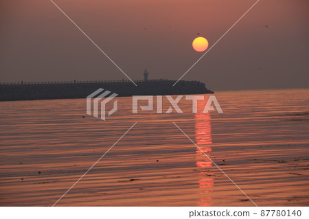 釜山廣域市日出海灘。 87780140