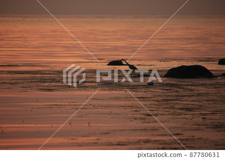 Busan Metropolitan City, Molundae, Dadaepo, Hat Island 87780631