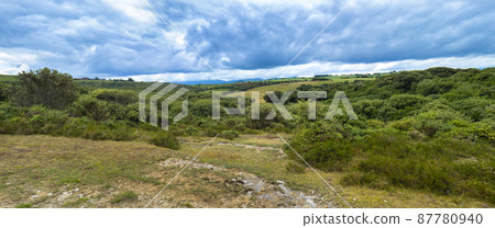 Coastline View, Oyambre Natural Park, Cantabria, Spain Coastline View, Oyambre Natural Park, Cantabria, Spain 87780940