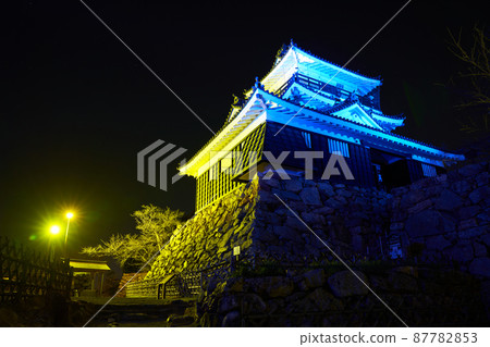 靜岡縣濱松市濱松城烏克蘭燈火通明 靜岡縣濱松市濱松城烏克蘭燈火通明 87782853