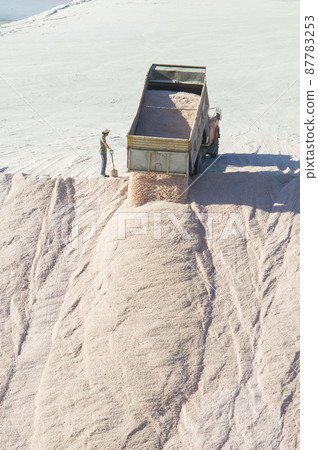 Trucks unloading raw salt bulk, Salinas Grandes de Hidalgo, La Pampa, Patagonia, Argentina. Trucks unloading raw salt bulk, Salinas Grandes de Hidalgo, La Pampa, Patagonia, Argentina. 87783253