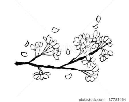 Cherry blossom branches drawn with a brush pen 87783464