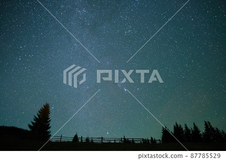 Night sky with bright stars and Milky Way Galaxy over dark pine forest. 87785529