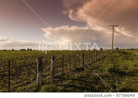 Argentine countryside landscape, La Pampa province, Patagonia, Argentina. 87786049