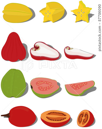 Whole exotic tropical fruits with pieces and slices vector illustration 87786090