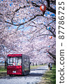 A red bus running under the Yoshino cherry tree in full bloom 87786725