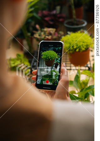 Close-up high-angle view from shoulders of unrecognizable female blogger taking pictures of plants in floral shop using smartphone camera. Woman recording video of beautiful green houseplants in pots. Close-up high-angle view from shoulders of unrecognizable female blogger taking pictures of plants in floral shop using smartphone camera. Woman recording video of beautiful green houseplants in pots. 87786926