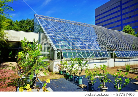 Hokkaido University Botanical Garden Hokkaido University Botanical Garden 87787406