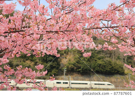 Say goodbye! Odakyu Romance Car VSE Hakone Yumoto, wrapped in full bloom Kawazu cherry blossoms and going to the last spring Say goodbye! Odakyu Romance Car VSE Hakone Yumoto, wrapped in full bloom Kawazu cherry blossoms and going to the last spring 87787601