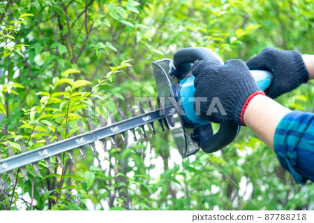 Gardener holding electric hedge trimmer to cut the treetop in garden. 87788218