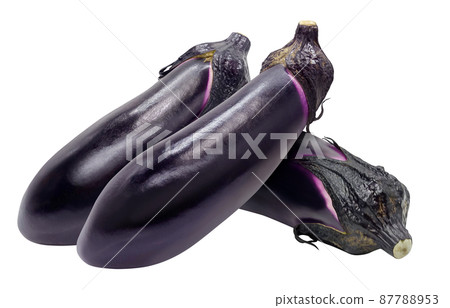 Eggplant eggplant illustration real set 87788953