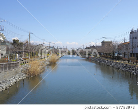 Shinkawa Senbonzakura, Shinkawa, Edogawa-ku 87788978