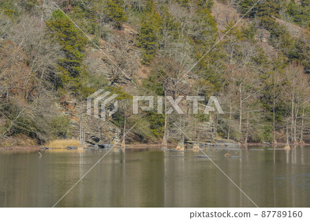 Mountain Fork River winding through Beavers Bend State Park in Broken Bow, Oklahoma  87789160