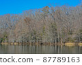 Mountain Fork River winding through Beavers Bend State Park in Broken Bow, Oklahoma  87789163