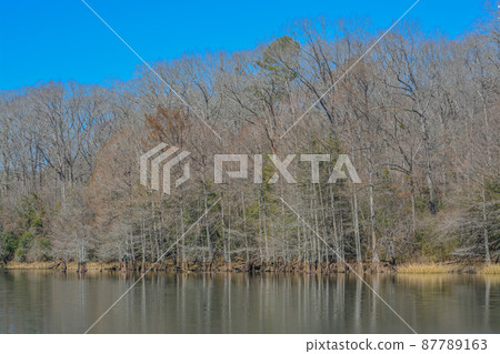 Mountain Fork River winding through Beavers Bend State Park in Broken Bow, Oklahoma  87789163