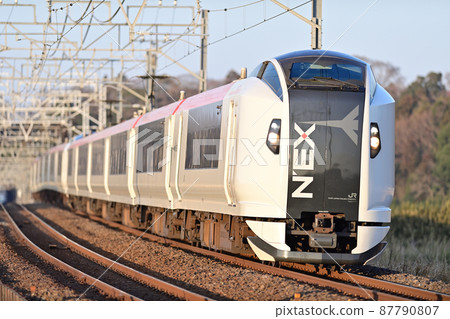 總武本線櫻花物之JR東E259系列Ne017組織(鎌倉)成田特快NEX 總武本線櫻花物之JR東E259系列Ne017組織(鎌倉)成田特快NEX 87790807