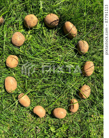 peeled potatoes lie on the grass. letter O from kartovel, edible letters on the lawn. appetizing letter. garden products. natural food, vegan products peeled potatoes lie on the grass. letter O from kartovel, edible letters on the lawn. appetizing letter. garden products. natural food, vegan products 87791113