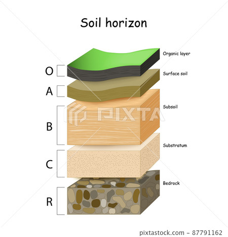 layers of the soil. A cross section of a soil layers of the soil. A cross section of a soil 87791162
