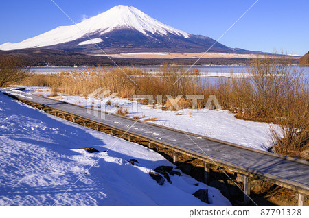 (Yamanashi Prefecture) Remaining snow on the shore of Lake Yamanashi, promenade and Mt. Fuji, clear sky (Yamanashi Prefecture) Remaining snow on the shore of Lake Yamanashi, promenade and Mt. Fuji, clear sky 87791328