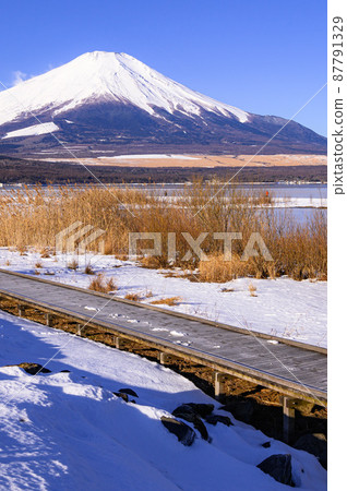 (Yamanashi Prefecture) Remaining snow on the shore of Lake Yamanashi, promenade and Mt. Fuji, clear sky (Yamanashi Prefecture) Remaining snow on the shore of Lake Yamanashi, promenade and Mt. Fuji, clear sky 87791329