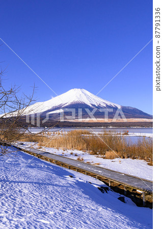 (Yamanashi Prefecture) Remaining snow on the shore of Lake Yamanashi, promenade and Mt. Fuji, clear sky (Yamanashi Prefecture) Remaining snow on the shore of Lake Yamanashi, promenade and Mt. Fuji, clear sky 87791336