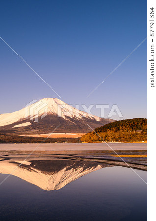 (Yamanashi Prefecture) Early morning upside-down view from Mt. Fuji and Lake Yamanaka 87791364
